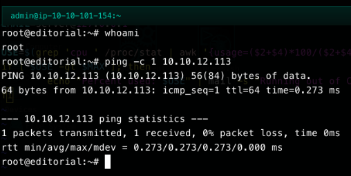 Ping to 10.10.12.113 succeeding from a root shell on the Editorial machine