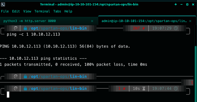 The same ping to 10.10.12.113 failing with 100% packet loss when run directly from the attacker machine