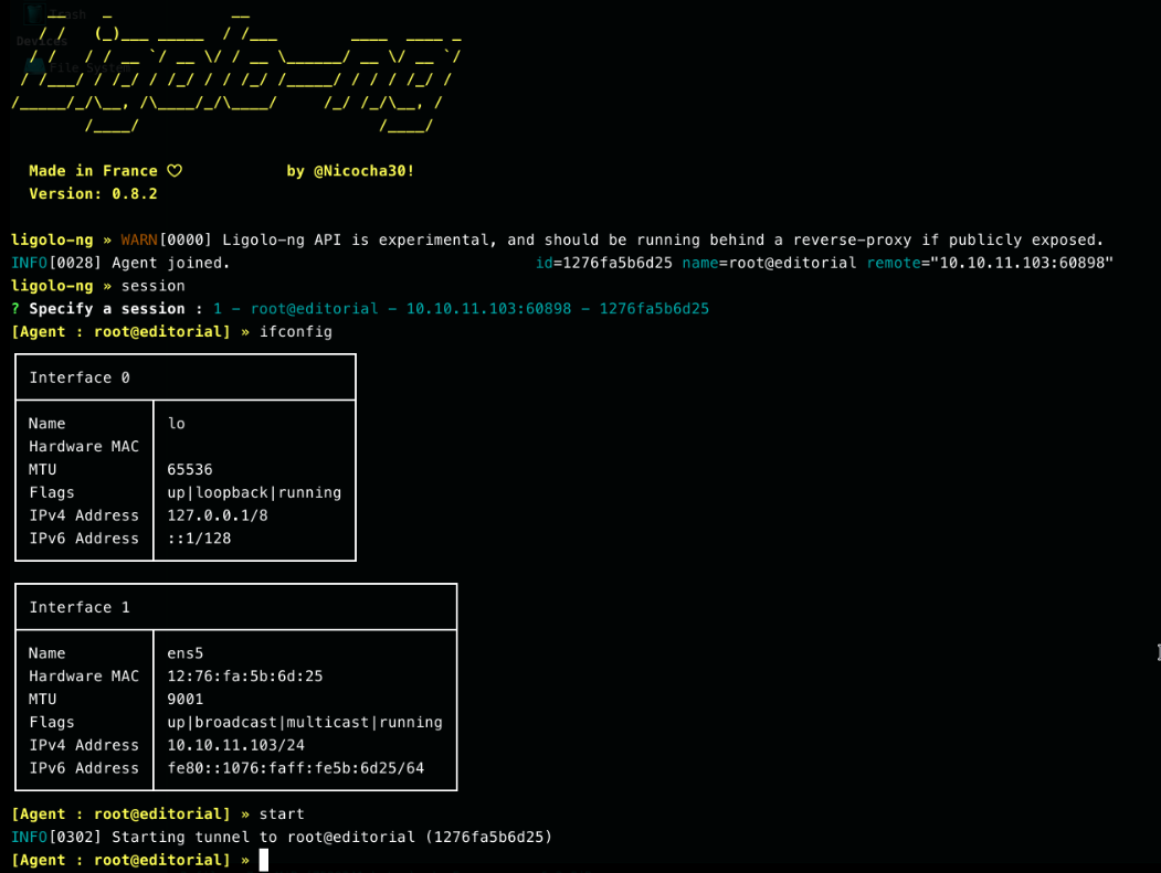 Selecting the ligolo agent session, checking ifconfig, and starting the tunnel