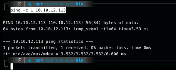 Successful ping to Angel over the ligolo tunnel, confirming the pivot is working