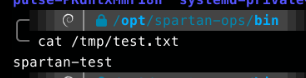 Contents of the downloaded test.txt file, containing the string "spartan-test"