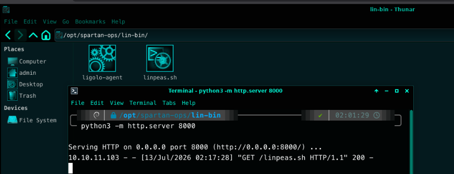 Local Python HTTP server on the attacker machine serving linpeas.sh