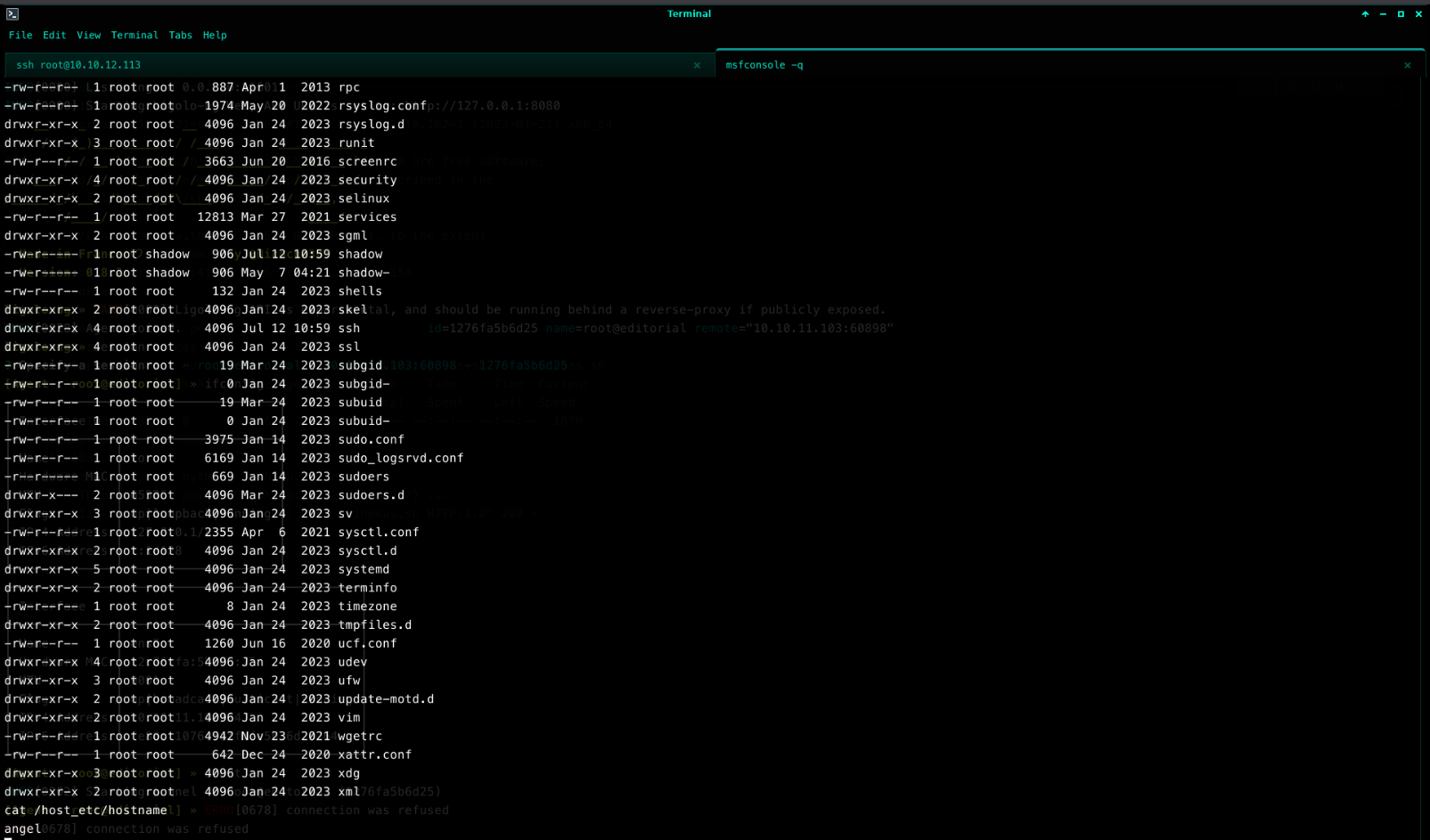 Listing /host_etc and reading its hostname file, which resolves to "angel" — the real host behind the container