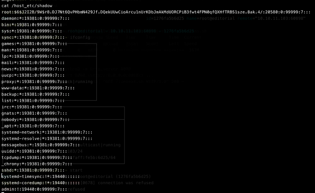 Contents of /host_etc/shadow, exposing the host's root password hash