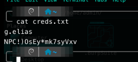 Contents of creds.txt revealing a username and password pair